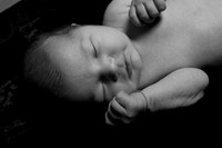 IMG_8886